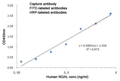 Mouse Monoclonal Antibody to Lipocalin 2