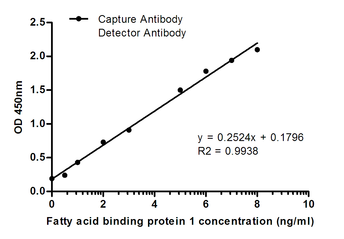 Mouse Monoclonal Antibody to FABP1