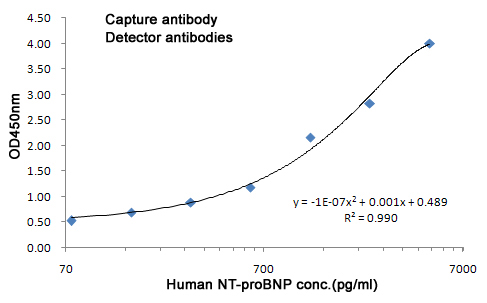 Mouse Monoclonal Antibody to Natriuretic Peptides B