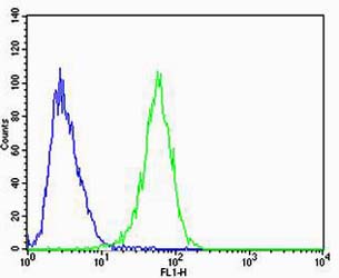 Mouse Monoclonal Antibody to CAPN6