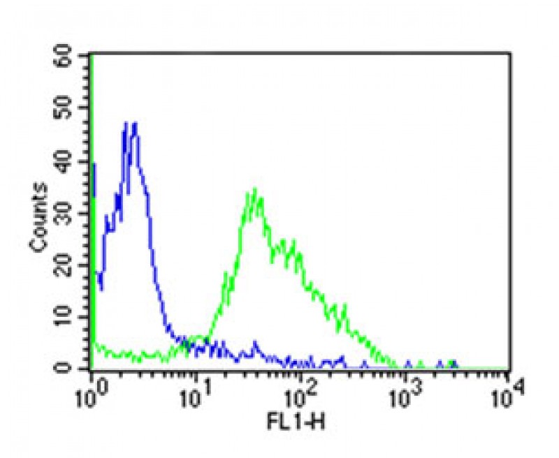 Mouse Monoclonal Antibody to human CD38