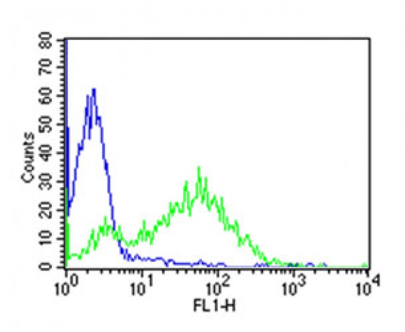 Mouse Monoclonal Antibody to human CD25