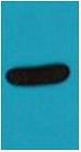 Mouse Monoclonal Antibody to V5-Tag(Mix)
