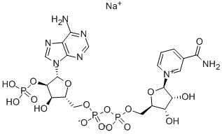 β-烟酰胺腺嘌呤二核苷酸磷酸钠盐 1184-16-3