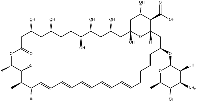 两性霉素 B 1397-89-3