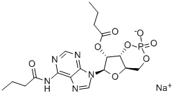 二丁酰环磷腺甙 16980-89-5