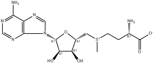 S-腺苷-L-蛋氨酸 29908-03-0