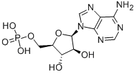 单磷酸阿糖腺苷 29984-33-6
