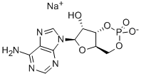 腺苷-3,5-环状单磷酸钠水合物