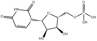 尿苷5-单磷酸 58-97-9