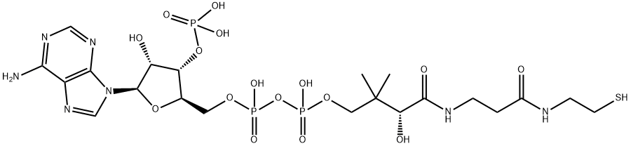 辅酶 A 85-61-0