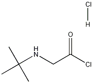 2-[(叔丁基)氨基]乙酰氯盐酸盐 915725-52-9