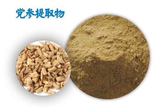 党参提取物