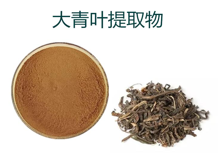 大青叶提取物