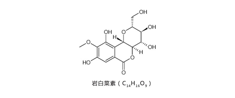 岩白菜素