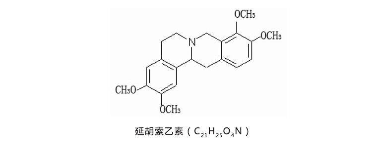 延胡索乙素