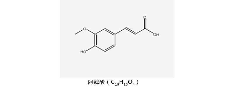 当归提取物