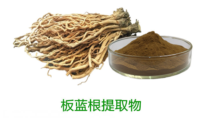板蓝根提取物