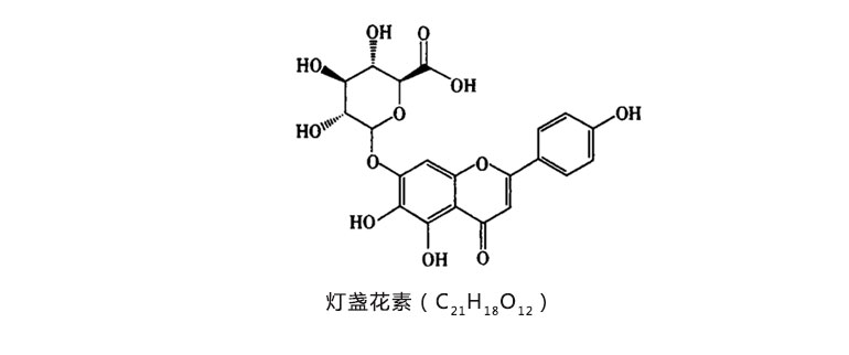 灯盏花素