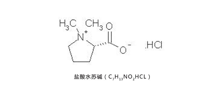 益母草提取物