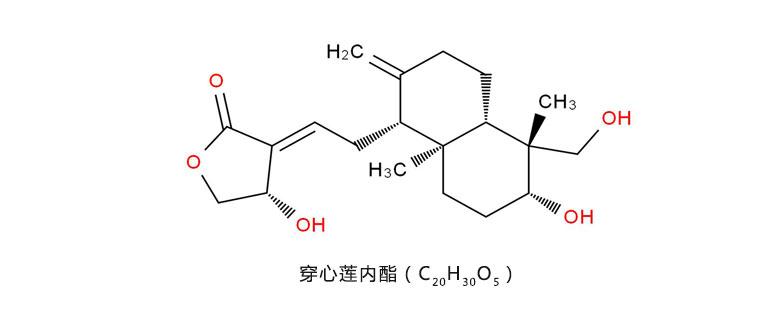 穿心莲内酯