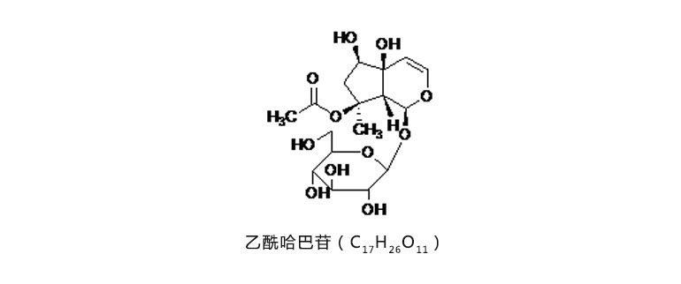筋骨草提取物