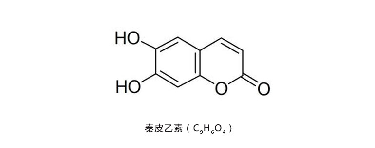 紫花地丁提取物