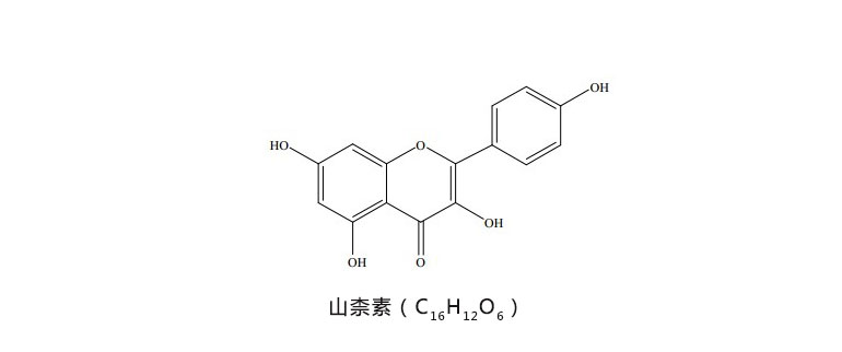 红花提取物