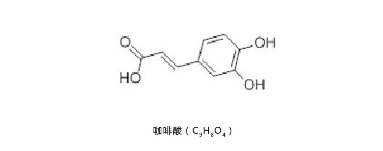 蒲公英提取物